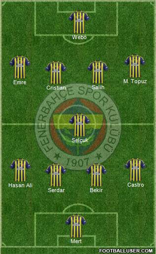 Fenerbahçe SK Formation 2013