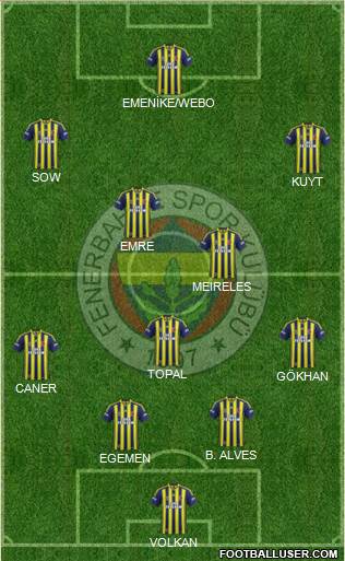 Fenerbahçe SK Formation 2013