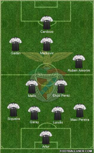 Sport Lisboa e Benfica - SAD Formation 2013