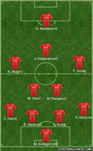 Cardiff City Formation 2013