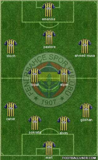 Fenerbahçe SK Formation 2013
