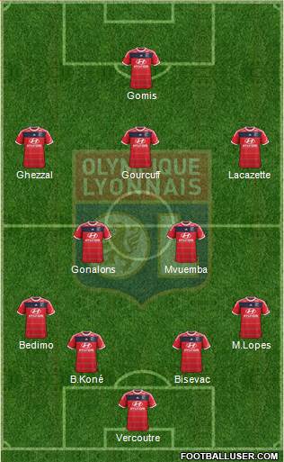 Olympique Lyonnais Formation 2013