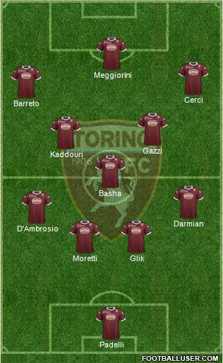 Torino Formation 2013
