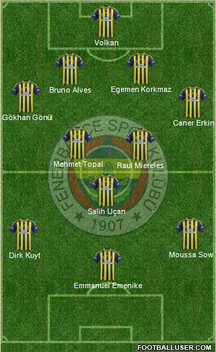 Fenerbahçe SK Formation 2013