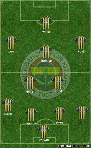 Fenerbahçe SK Formation 2013