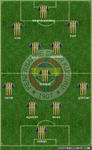 Fenerbahçe SK Formation 2013
