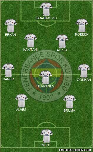 Fenerbahçe SK Formation 2013