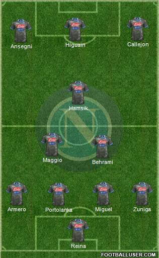 Napoli Formation 2013