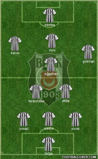 Besiktas JK Formation 2013