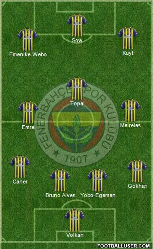 Fenerbahçe SK Formation 2013