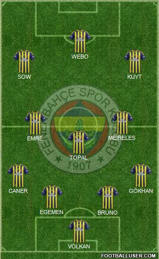 Fenerbahçe SK Formation 2013