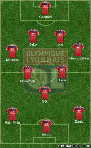 Olympique Lyonnais Formation 2013