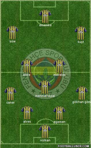 Fenerbahçe SK Formation 2013