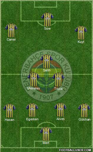 Fenerbahçe SK Formation 2013