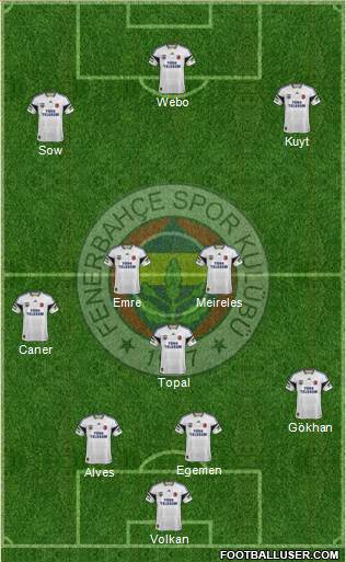 Fenerbahçe SK Formation 2013