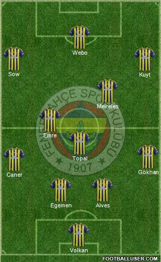 Fenerbahçe SK Formation 2013