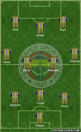 Fenerbahçe SK Formation 2013