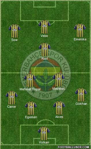 Fenerbahçe SK Formation 2013