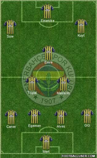 Fenerbahçe SK Formation 2013