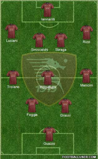 Salernitana Formation 2013