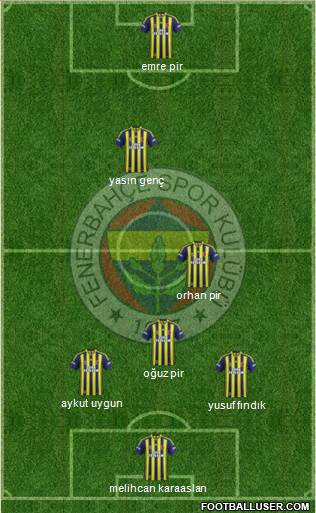 Fenerbahçe SK Formation 2013
