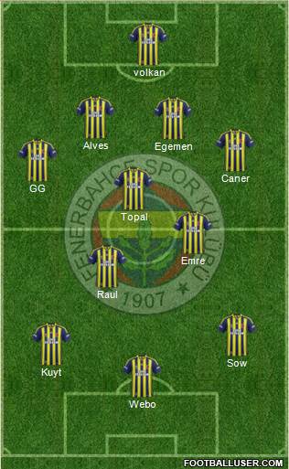 Fenerbahçe SK Formation 2013