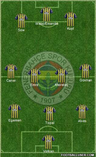 Fenerbahçe SK Formation 2013