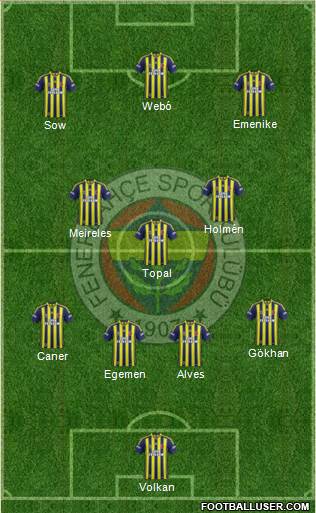 Fenerbahçe SK Formation 2013