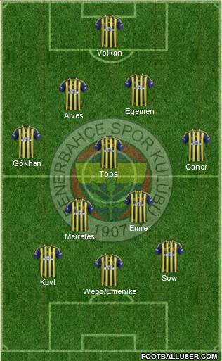 Fenerbahçe SK Formation 2013