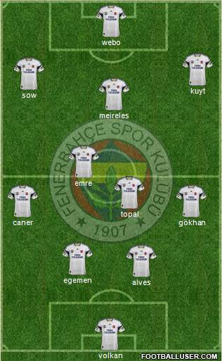 Fenerbahçe SK Formation 2013