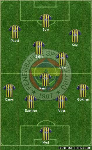 Fenerbahçe SK Formation 2013