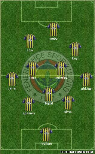 Fenerbahçe SK Formation 2013