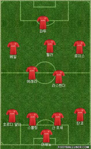 Cardiff City Formation 2013
