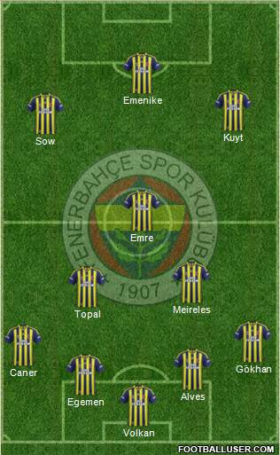 Fenerbahçe SK Formation 2013