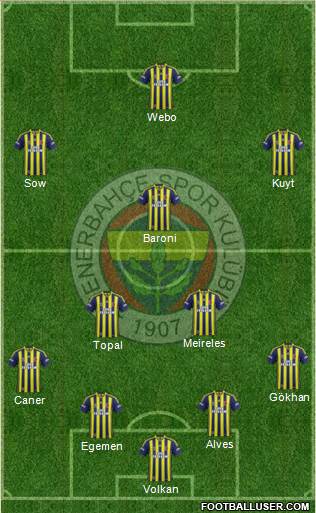 Fenerbahçe SK Formation 2013