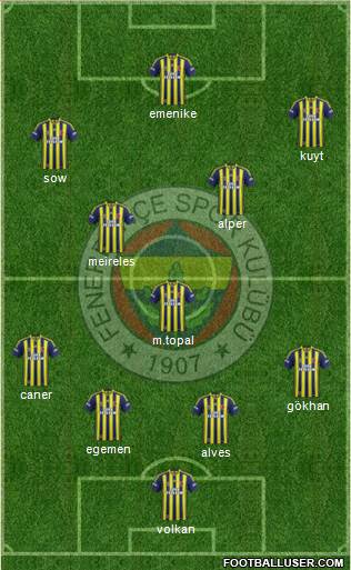 Fenerbahçe SK Formation 2013