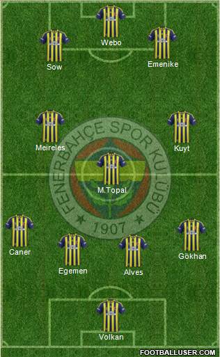 Fenerbahçe SK Formation 2013