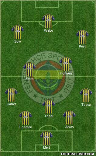 Fenerbahçe SK Formation 2013
