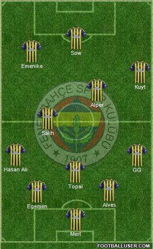 Fenerbahçe SK Formation 2013