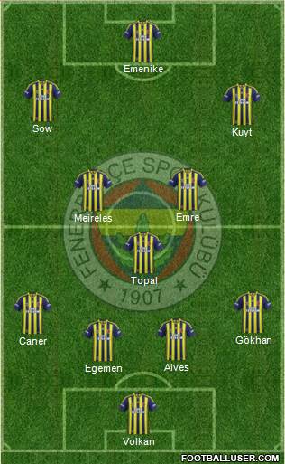 Fenerbahçe SK Formation 2013