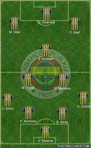 Fenerbahçe SK Formation 2013