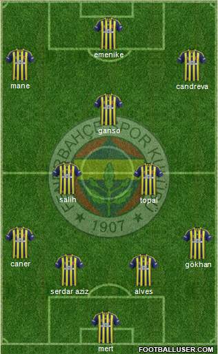 Fenerbahçe SK Formation 2013