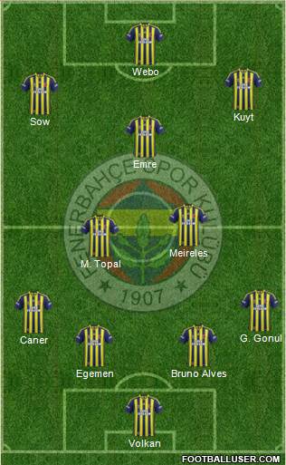 Fenerbahçe SK Formation 2013