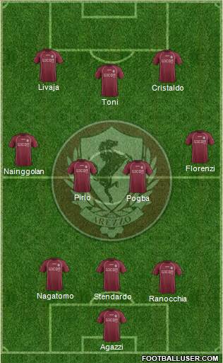 Arezzo Formation 2013
