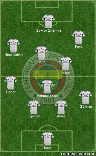 Fenerbahçe SK Formation 2013