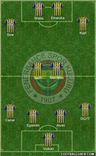 Fenerbahçe SK Formation 2013