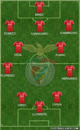 Sport Lisboa e Benfica - SAD Formation 2013