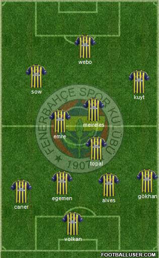 Fenerbahçe SK Formation 2013