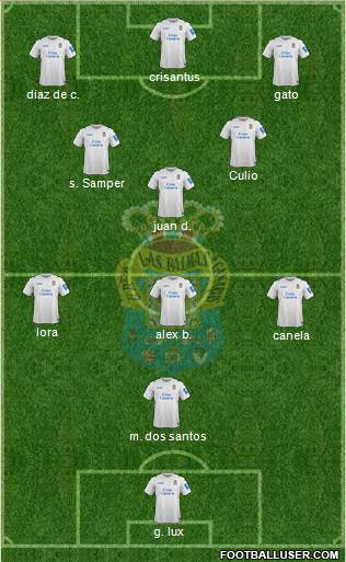 U.D. Las Palmas S.A.D. Formation 2013