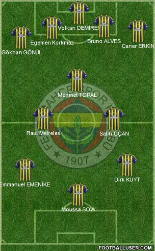 Fenerbahçe SK Formation 2013